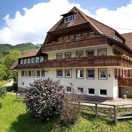 Danielenhof Apartment Freiamt Luaran gambar