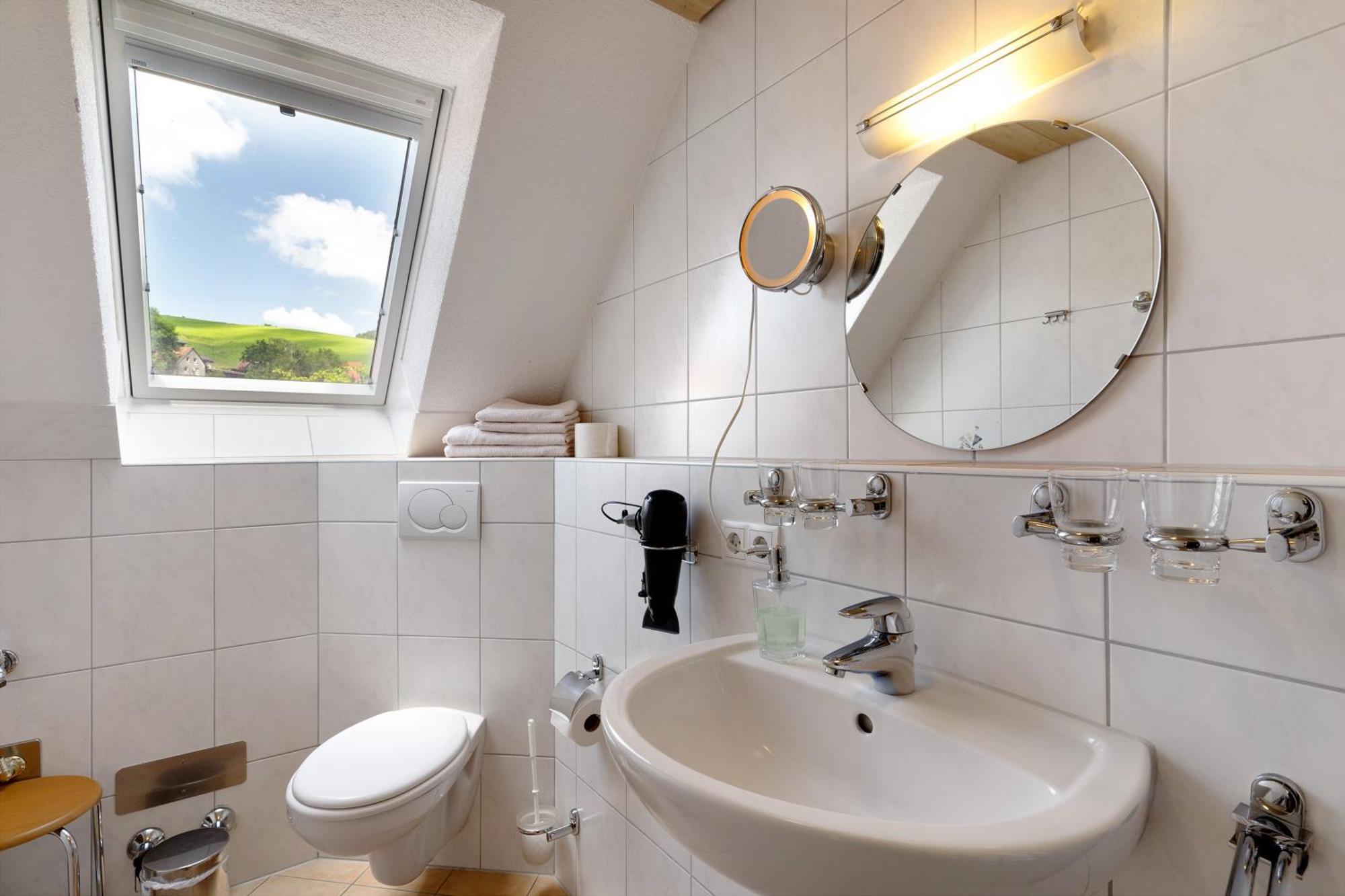 Danielenhof Apartment Freiamt Luaran gambar