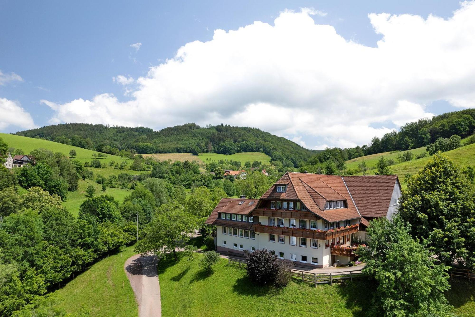Danielenhof Apartment Freiamt Luaran gambar