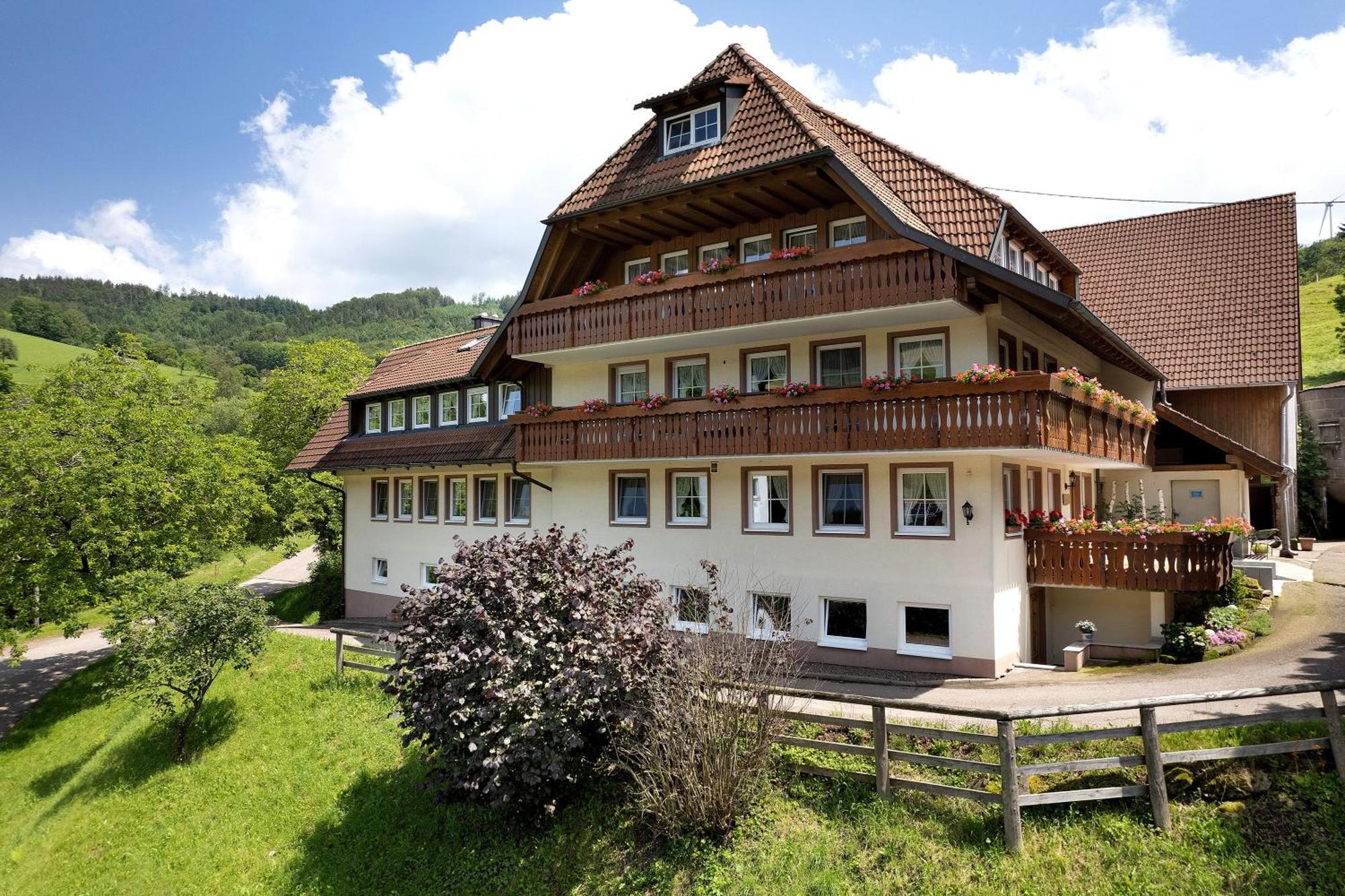 Danielenhof Apartment Freiamt Luaran gambar